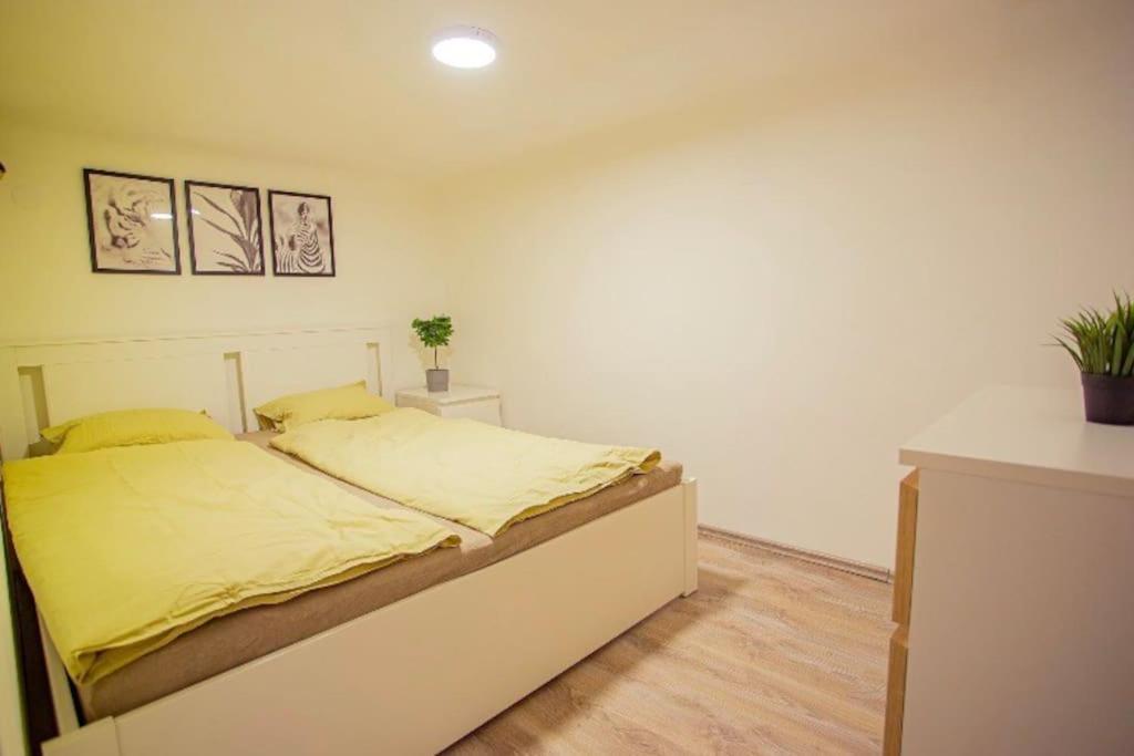 Cosy 2 Bedroom Flat In Akacfa St., Sol Budapešť Exteriér fotografie